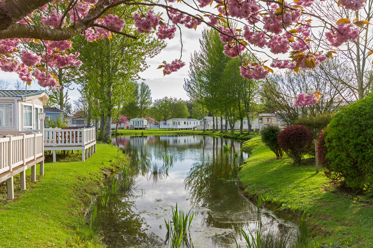 dreamstime_m_40936897