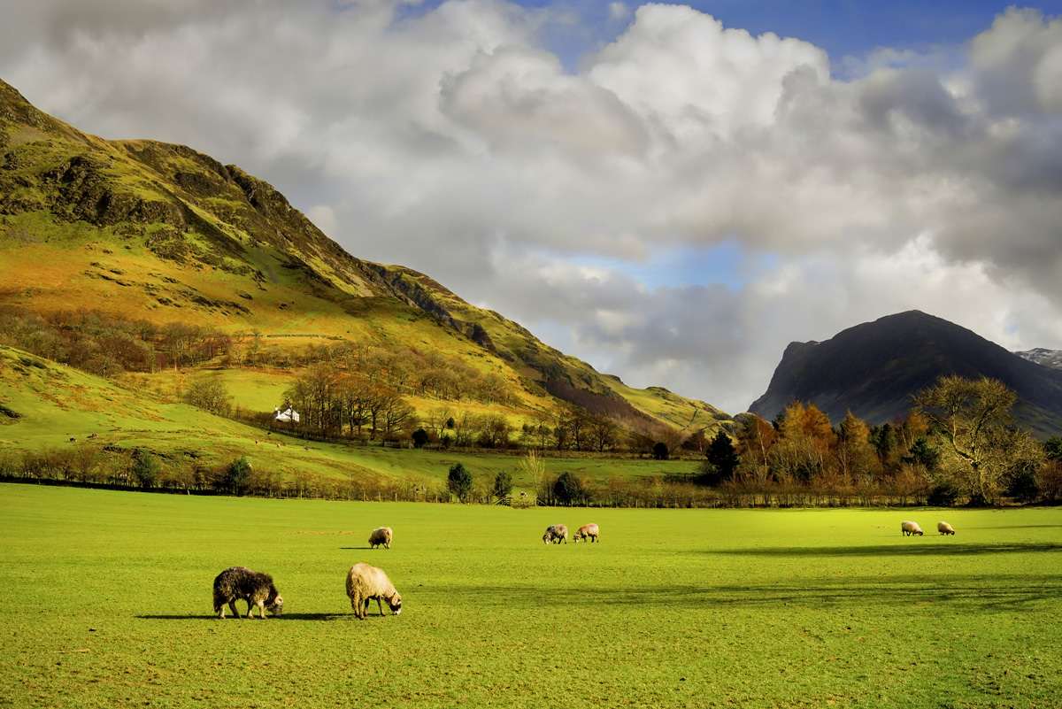 dreamstime_m_54092580